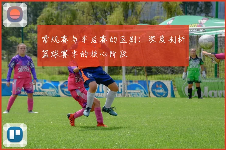 常规赛与季后赛的区别：深度剖析篮球赛季的核心阶段