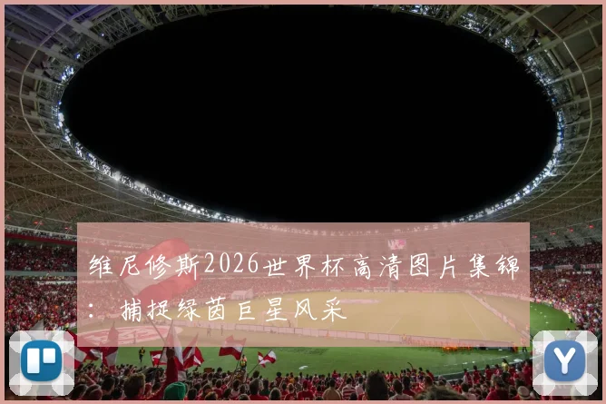 维尼修斯2026世界杯高清图片集锦：捕捉绿茵巨星风采