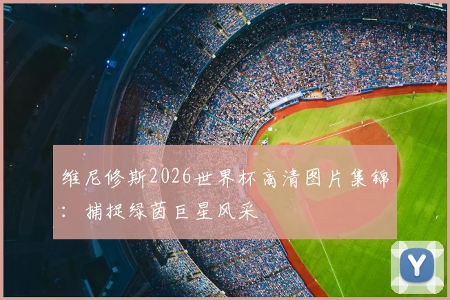 维尼修斯2026世界杯高清图片集锦：捕捉绿茵巨星风采